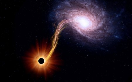 Long-Ripple Gravitational Waves, Hinting at Supermassive Black Hole Mergers Detected