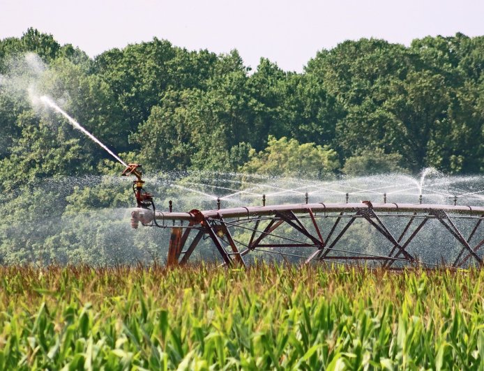 Irrigation's Influence on Earth's Rotation: Shifting Polar Drift and Climate Impact
