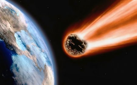 Nitrogen Bases in DNA and RNA found in meteorites from space.